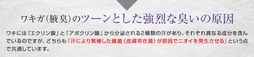 ワキガ(腋臭)のツーンとした強烈な臭いの原因