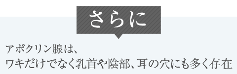 アポクリン腺は、ワキだけでなく乳首や陰部、耳の穴にも多く存在