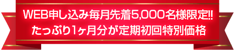 定期初回特別価格